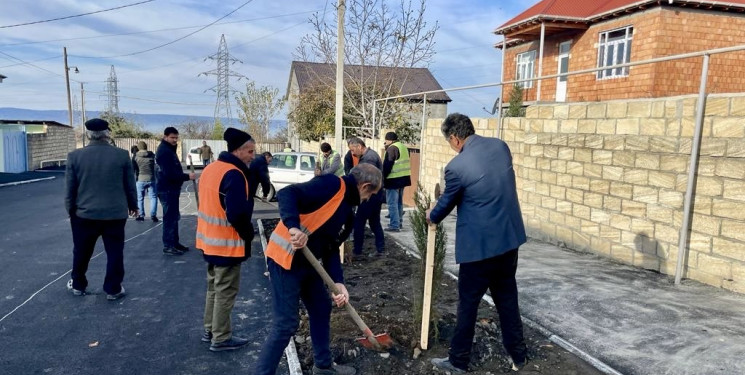 Ümumrayon iməciliyi və ağacəkmə aksiyası keçirilmişdir